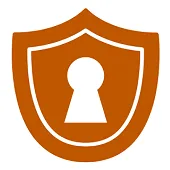 Secure Login Icon