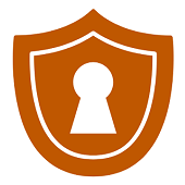 Secure Login Icon